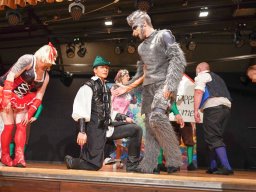 prunksitzung auerbach-24